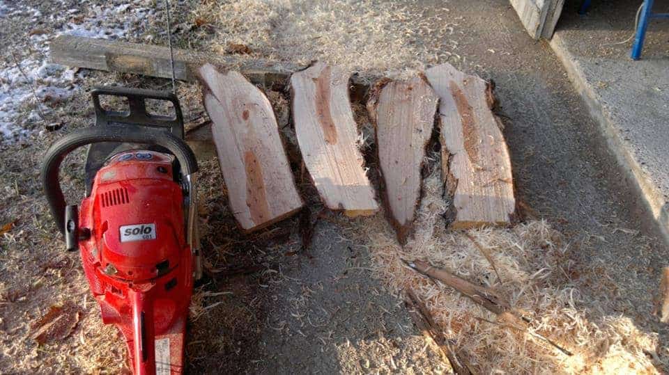 DrechselHolz rissfrei trocknen, schonend und schnell Holzbehandlung