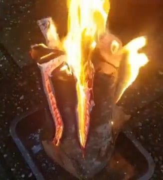 Schwedenfeuer, Gartenfackel mit der Kettensäge selber bauen